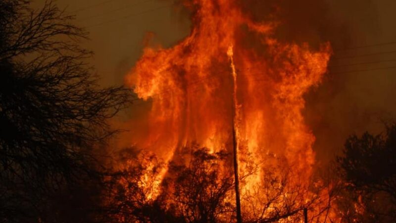 INCENDIOS | «La ayuda de mis vecinos hizo que salga adelante».