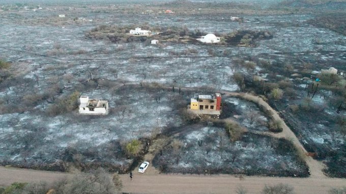 INCENDIOS :»La gente es la que esta pensando en el día después para reforestar».