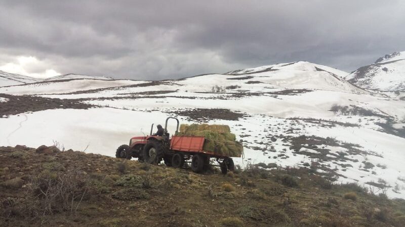 Solidaridad y organización le dan pelea a la nevada histórica en la Comunidad mapuche tehuelche Vuelta del Río