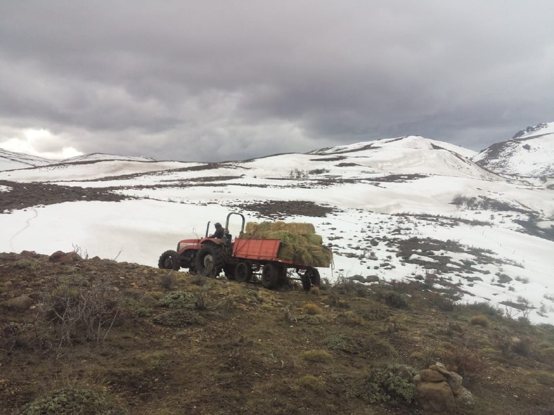 Solidaridad y organización le dan pelea a la nevada histórica en la Comunidad mapuche tehuelche Vuelta del Río