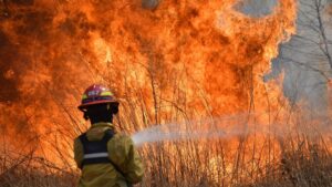 INCENDIOS: reporte 24/09/2020