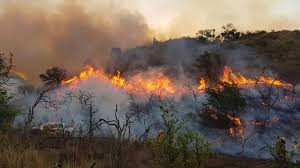 INCENDIOS: Cuando el Estado no esta a la altura.