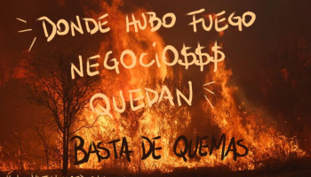 ENTREVISTA: En Córdoba donde hubo fuego negocios quedan…