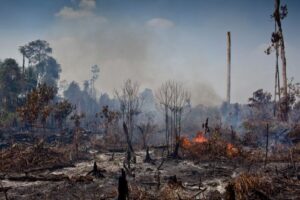 Raúl Montenegro.»El Gobierno no entiende cómo funciona el ambiente».