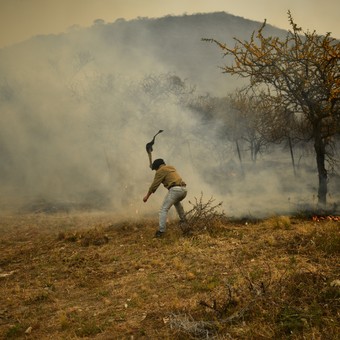 INCENDIOS: Brigadistas dan testimonio de lo vivido.