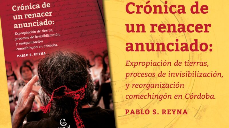 Entrevista: «Crónica de un renacer anunciado» Pablo Reyna.