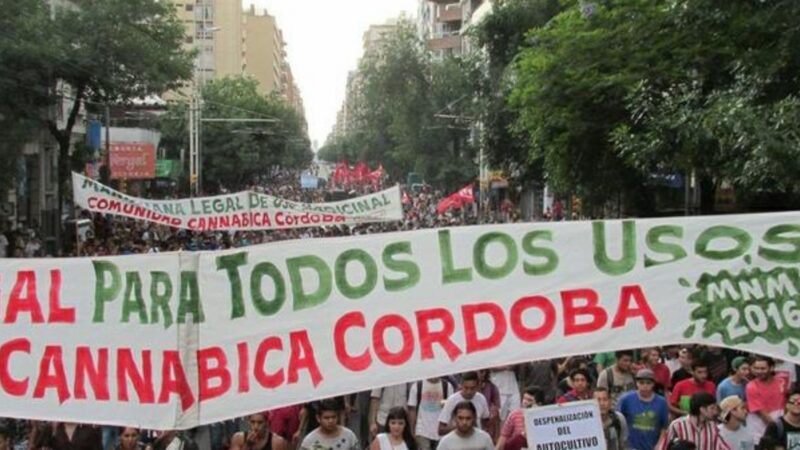 “Vamos a trabajar para que San Marcos tenga su propio aceite de Cannabis gratuito medicinal”