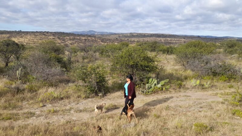 Es  inminente el desalojo a campesinas en el paraje Las Cañadas.