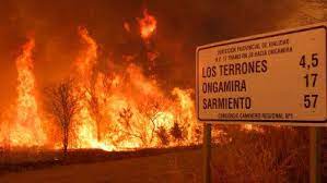 INCENDIOS Y NEGOCIOS: ¿Qué hay detrás del fuego?