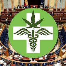 ”Es muy posible que Diputados apruebe el uso industrial del Cannabis antes de septiembre”