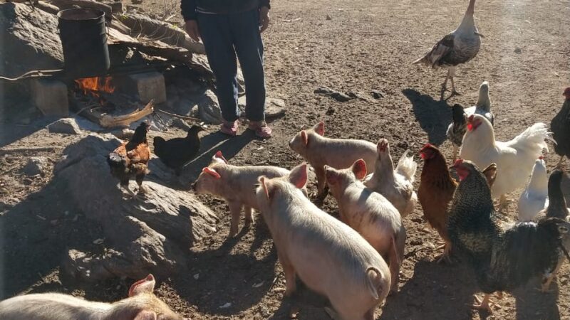 Posible desalojo en las cañadas