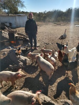 Posible desalojo en las cañadas