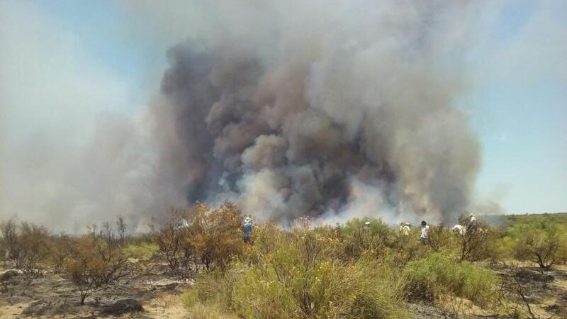 Actualización de información del incendio en Santa Isabel.