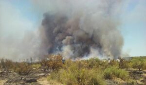 Actualización de información del incendio en Santa Isabel.