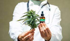 SAN MARCOS ADHIRIO AL CANNABIS MEDICINAL