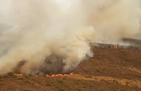 Es preocupante la situación por los incendios en el norte de Córdoba.