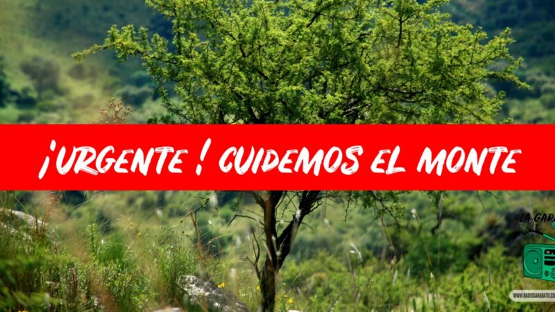 Modificaciones a la ley provincial 10.208 de Política Ambiental