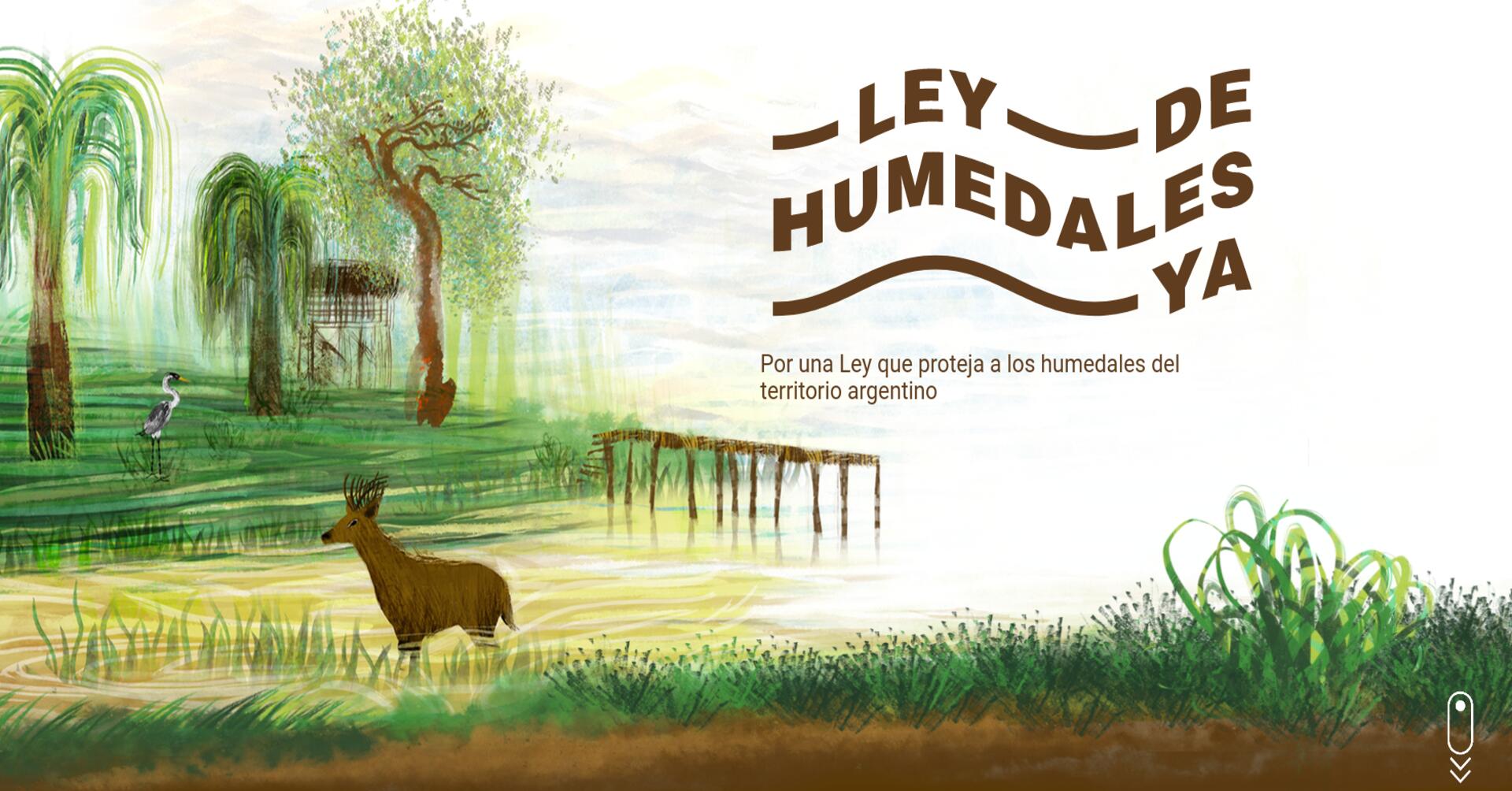 Semana clave para la Ley de Humedales