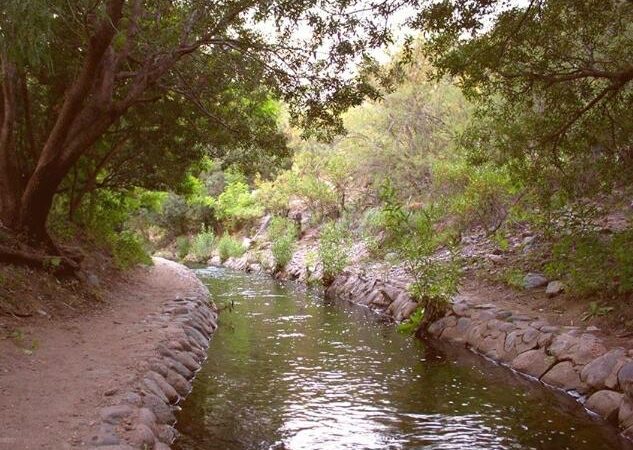 Jornada colectiva de Limpieza de las Acequias y el río