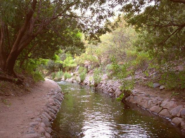 Jornada colectiva de Limpieza de las Acequias y el río