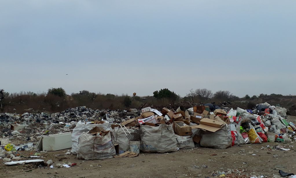 ”Actualmente el basural está desbordado”