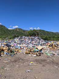 ”Solucionar el problema de la basura requiere sobre todo voluntad para hacerlo”