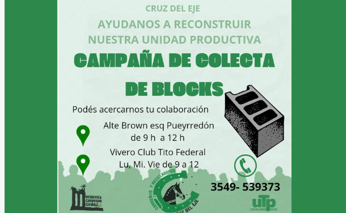 Carreros y recicladores: Colecta de bloques de cemento en Cruz del Eje