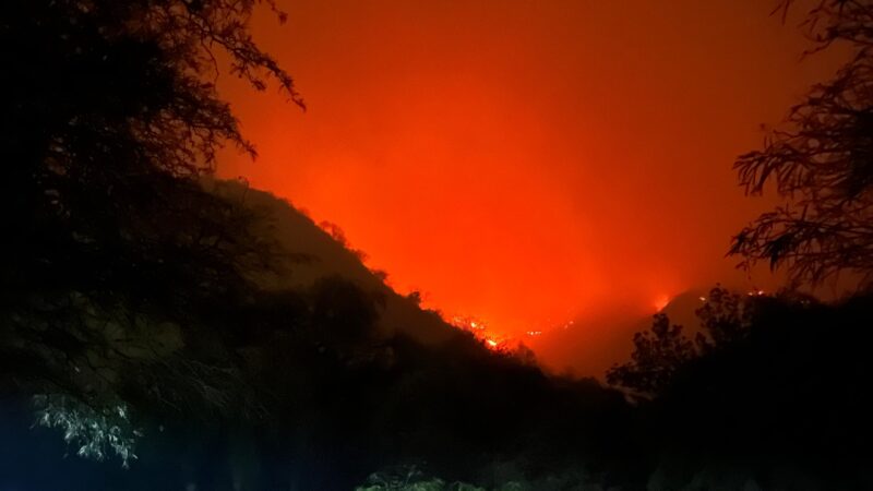 «Nos están prendiendo fuego»: Informe de la Sacha Brigada 2 de Octubre