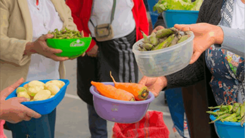 Feria del Trueque en San Marcos Sierras